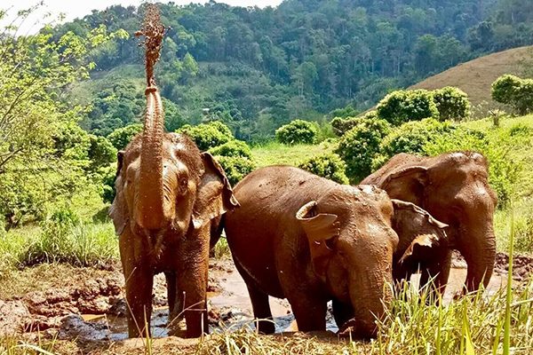 Kham Pang and her friends spending great time in the mud pit