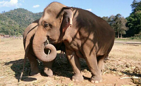 Mintra hanging in the field with her friend.