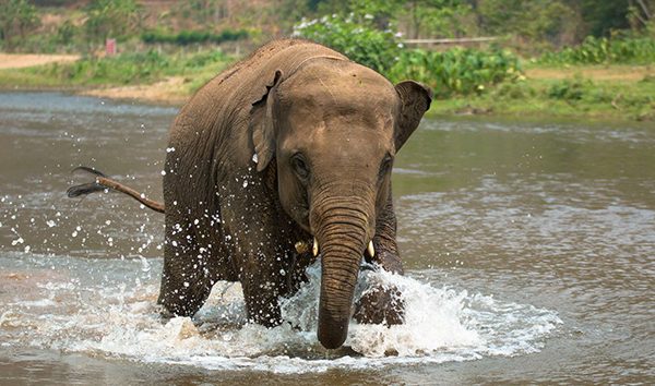 Baby Lucky was separated from his mother since he was too young