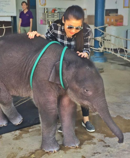 When Khun Kanjana Silpa-archa met little Dok Geaw at TECC