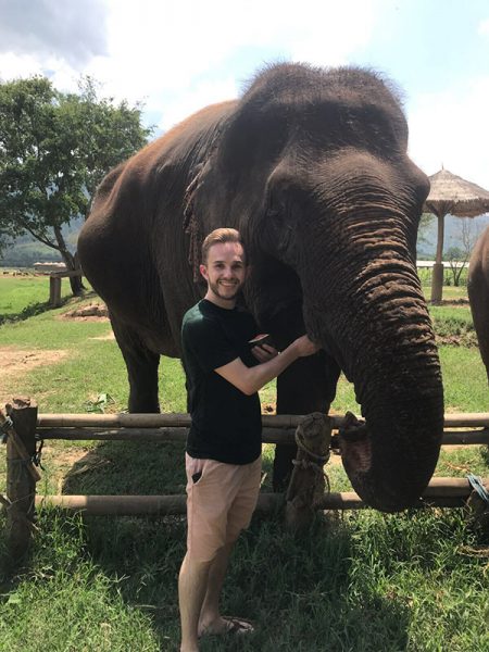 Enjoy feeding the gentle female elephant, she love watermelon