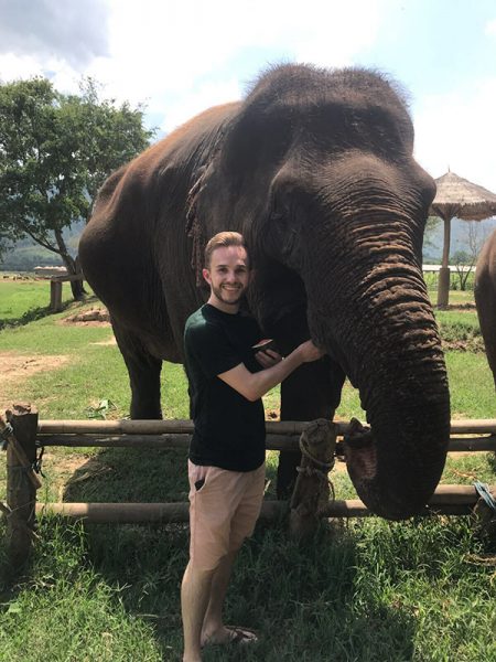 Enjoy feeding the gentle female elephant, she love watermelon 