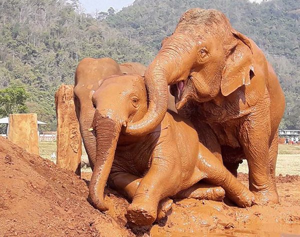 Jokia having good time with Navann and Sri Prae at the mud pit