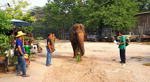 Bua Keaw is ready to take her journey to the new home