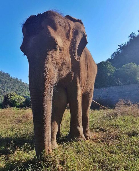 Dalah is such a sweet girl and she is so brave living with her strong will.