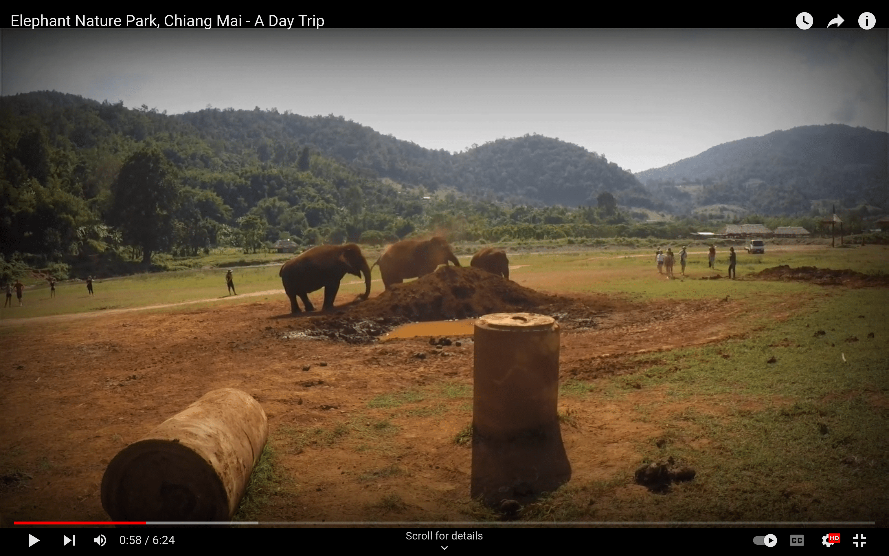 A day out at the Elephant Nature Park in Chiang Mai, Thailand by  Josh S Double