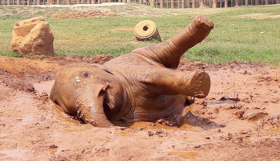 Navann having a great fun at the mud pit.
