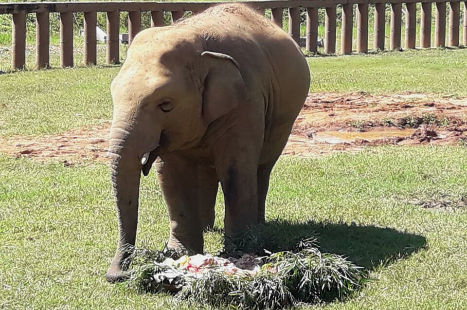 Navann is very happy with his birthday cake.