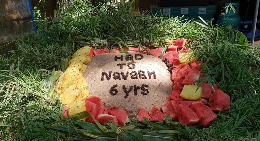 Navann's special birthday cake made by our volunteer and staff.