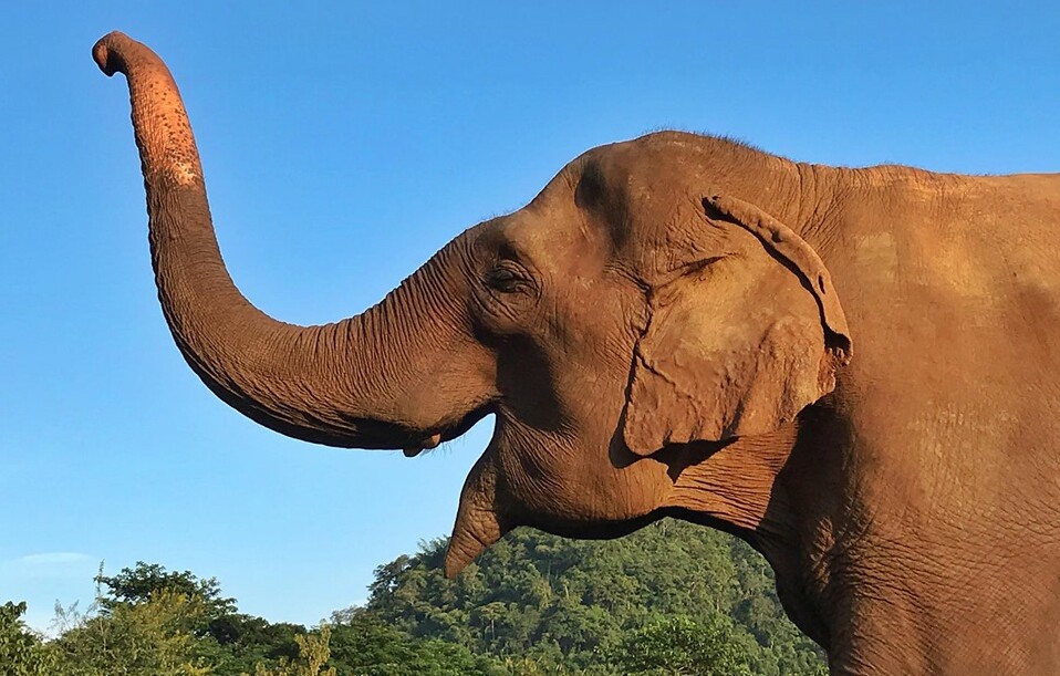 Beautiful smiling when Krating Dang arrive the park.