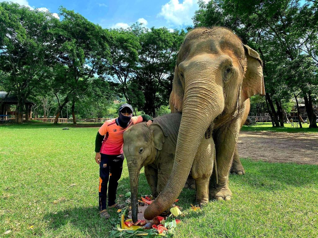 mahout