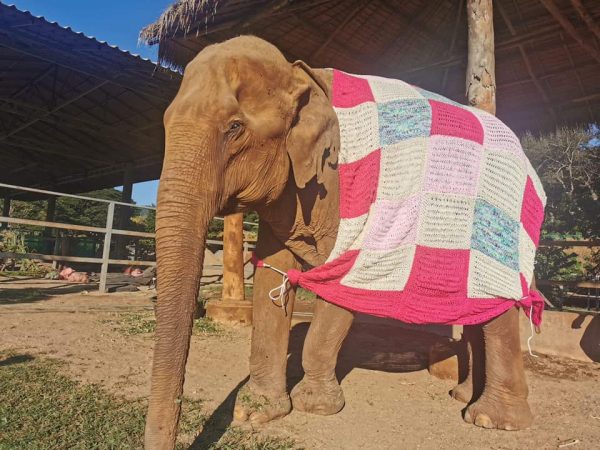 We provided Bai Cha the blanket to keep her warm when the temperature drop down.