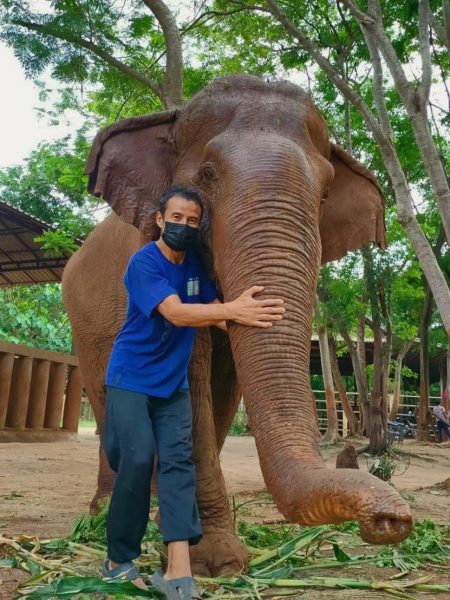mahout