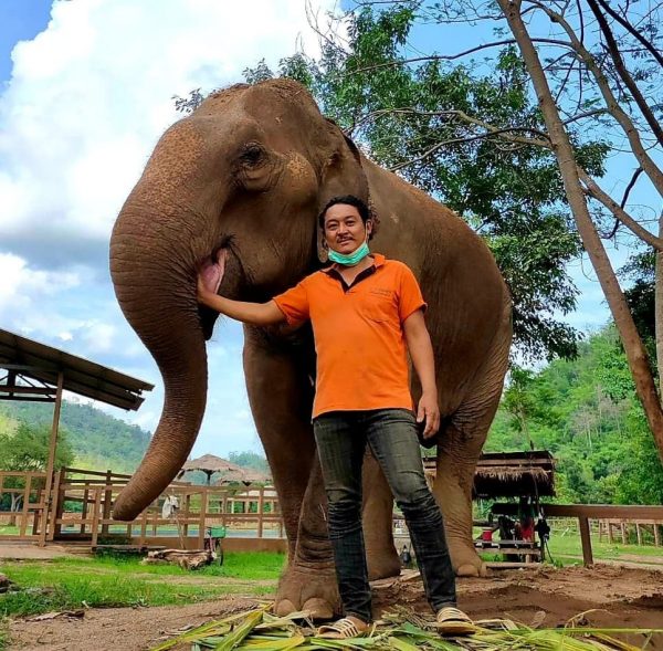 mahout