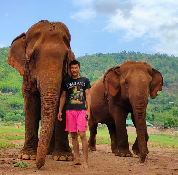mahout