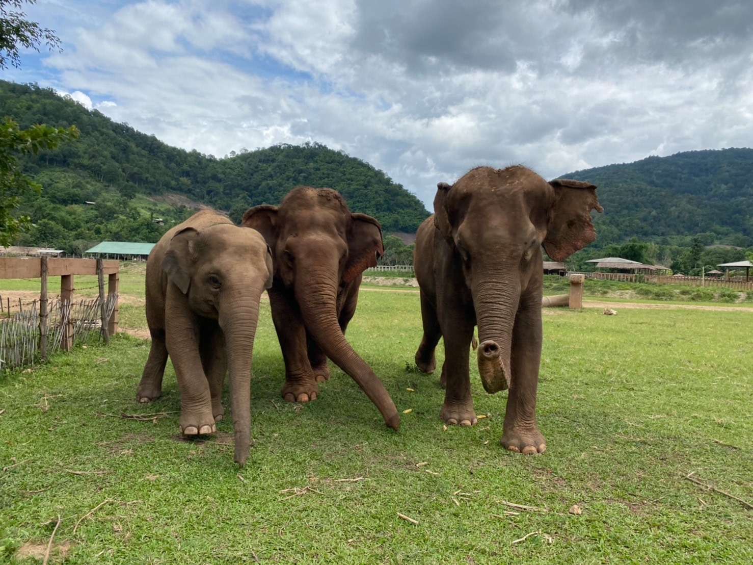 PaiLin joins with Jokia and baby ThongAe