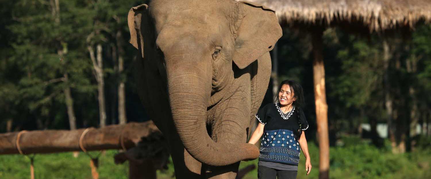 Elephant Nature Park Founder Saengduean Lek Chailert