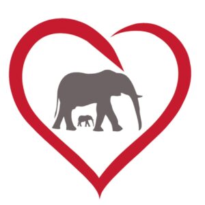 Heart 4 Elephants