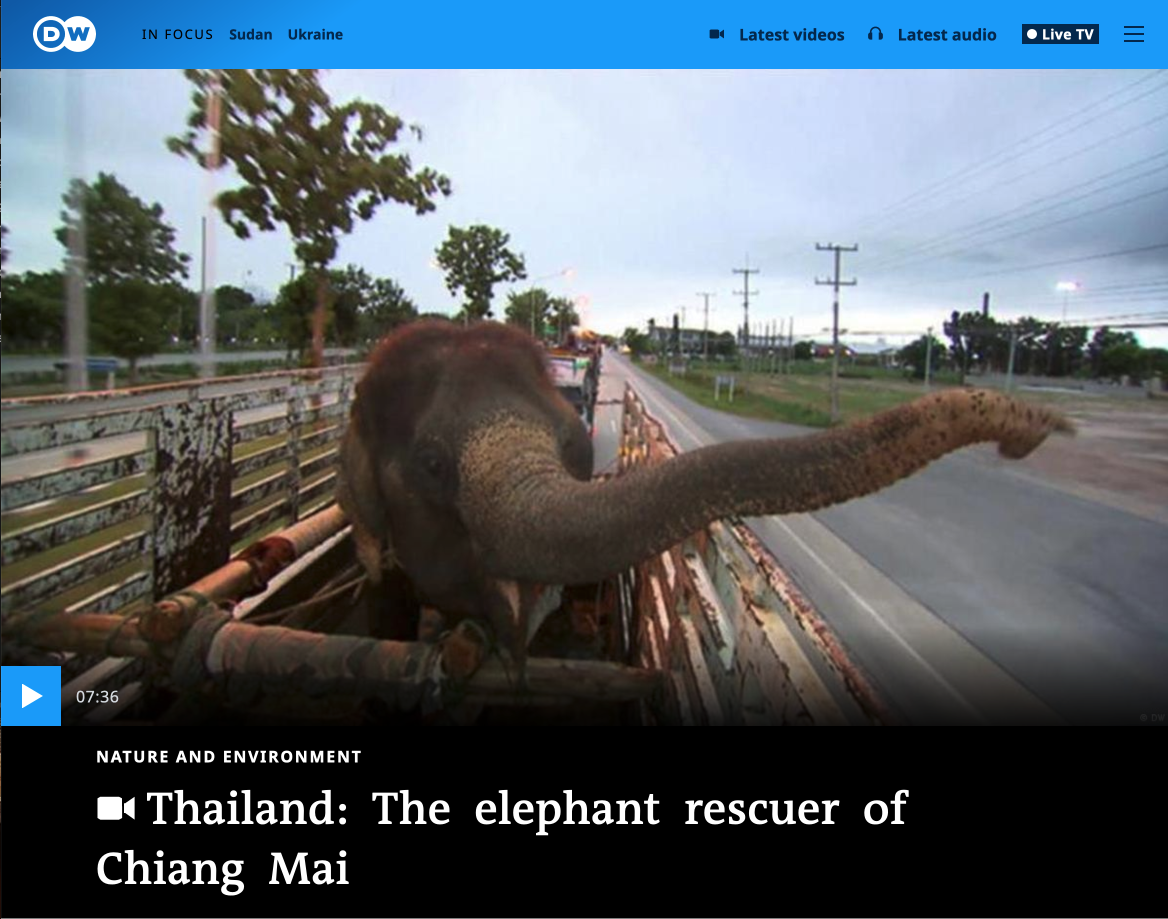 Thailand: The elephant rescuer of Chiang Mai