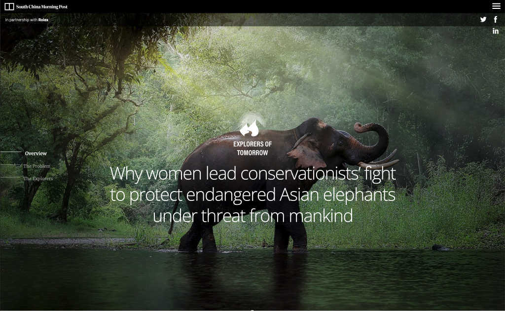Why women lead conservationists’ fight to protect endangered Asian elephants under threat from mankind