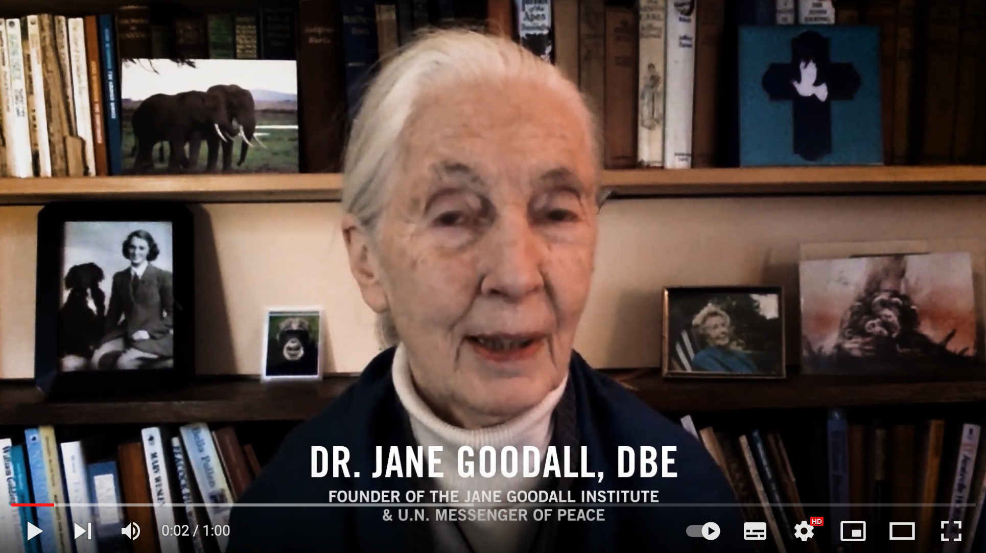 One Green Planet - Jane Goodall Shares Video to Help Starving Elephants in Thailand