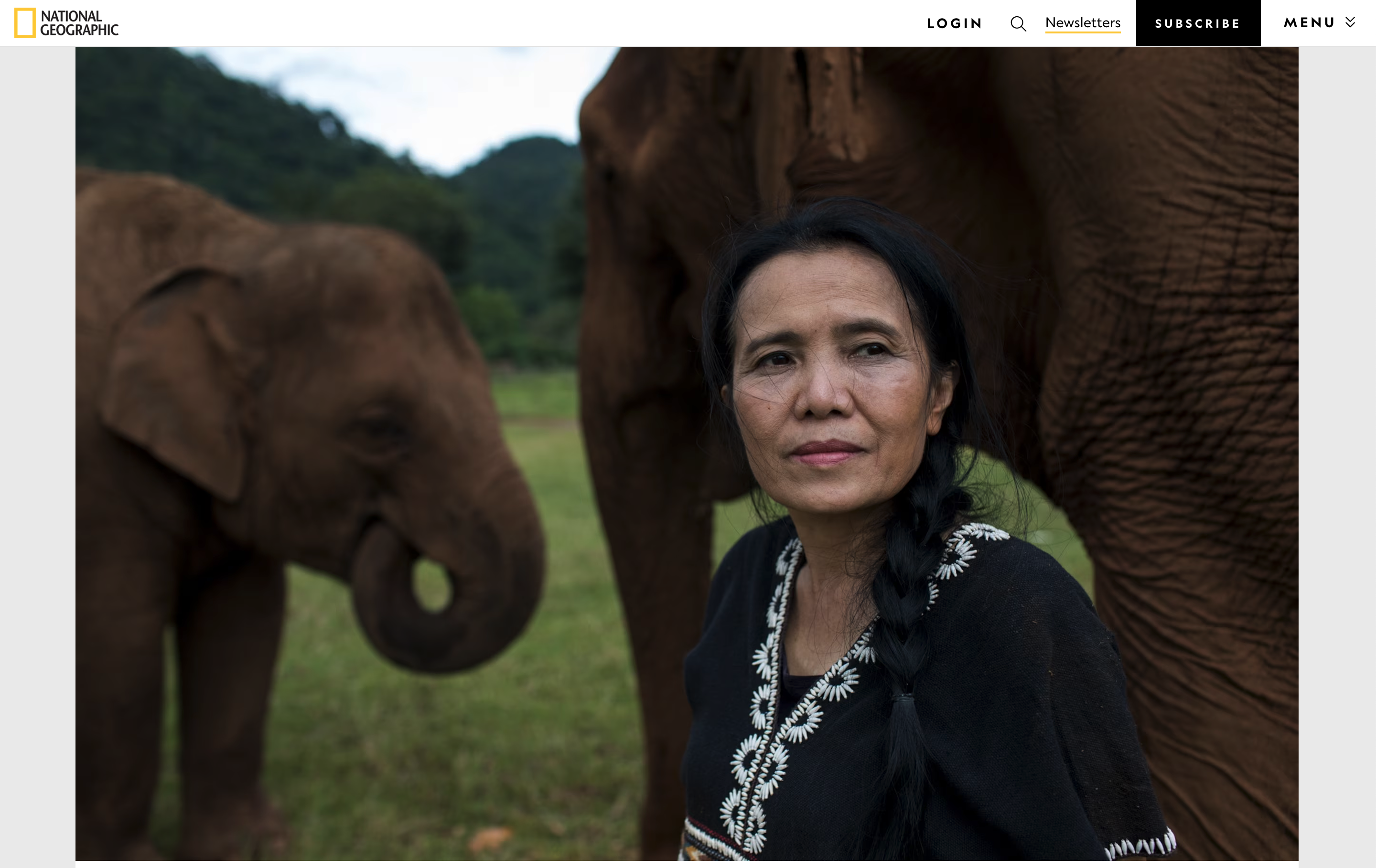 National Geographic - A year without tourism: crisis for Thailand’s captive elephants