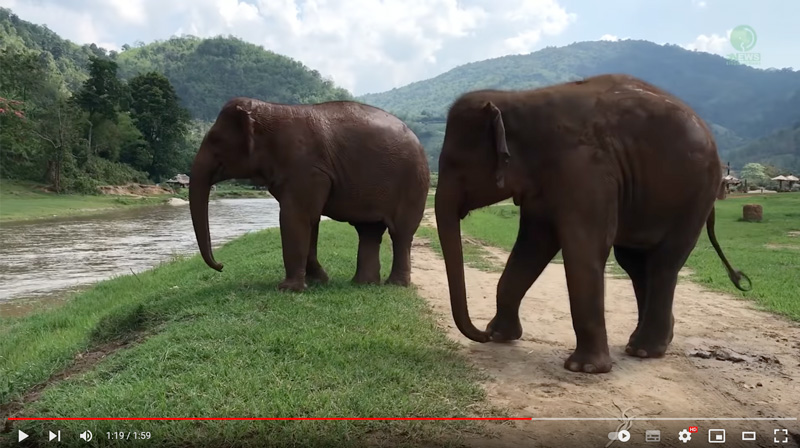 FaaMai and Khamla power play and get excited at what they see in the river