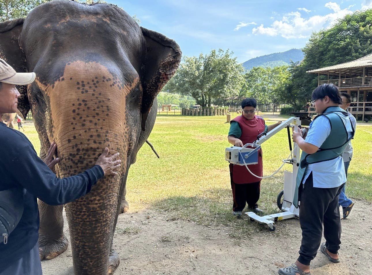 Elephant X-Ray and Laser equipment arrives at Elephant Nature Park