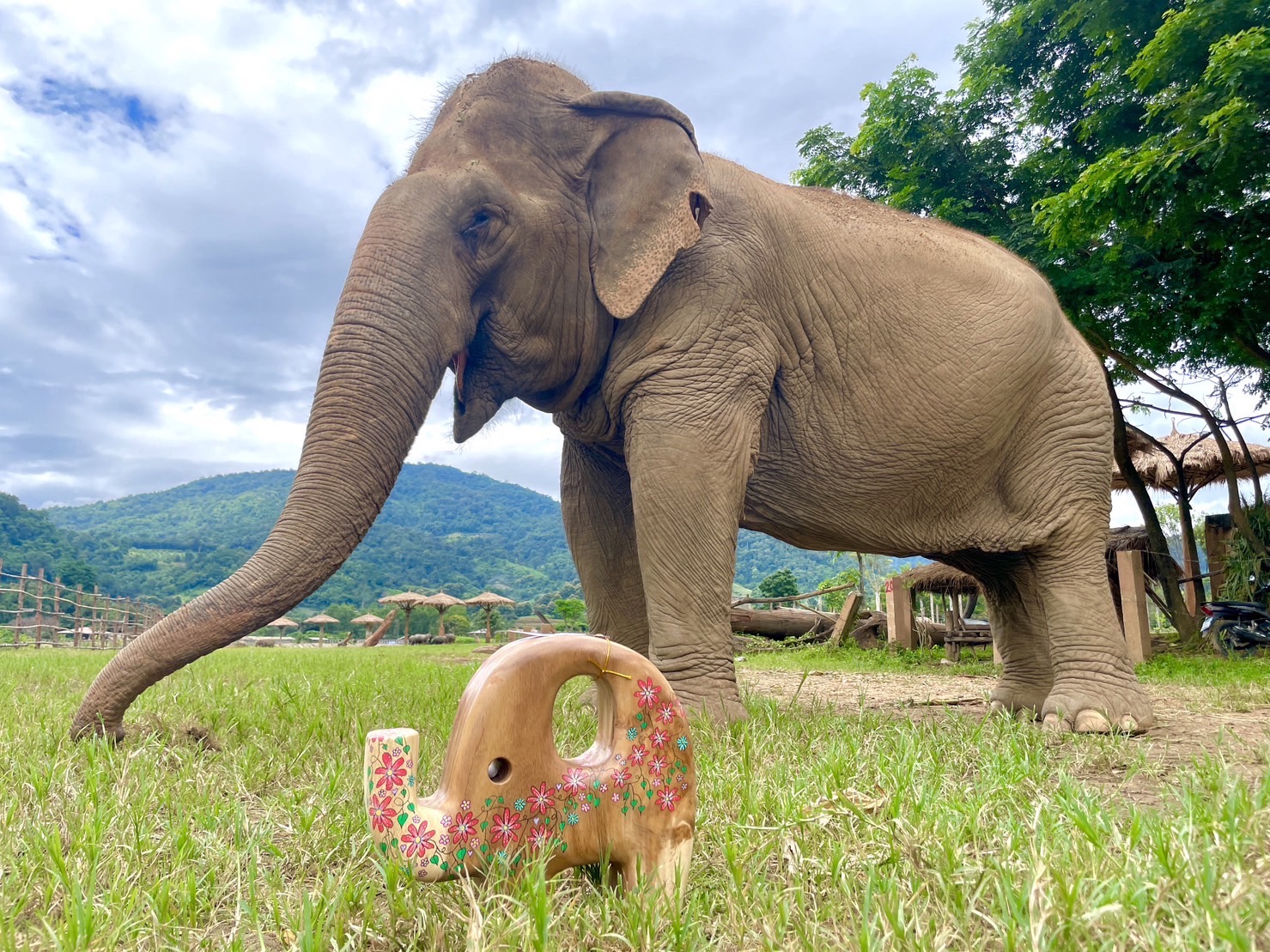 Artist Heather Anderson donates Elephant Carvings to the Elephant Nature Park Shop