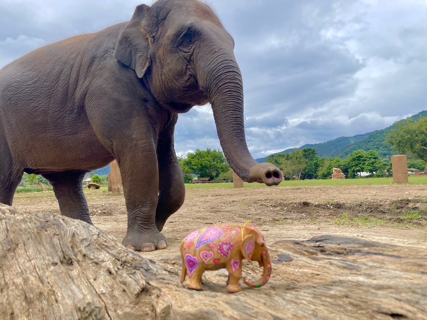 Artist Heather Anderson donates Elephant Carvings to the Elephant Nature Park Shop