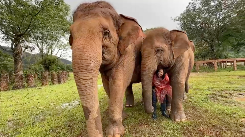 Lek Chailert shares a very special bond with Elephants