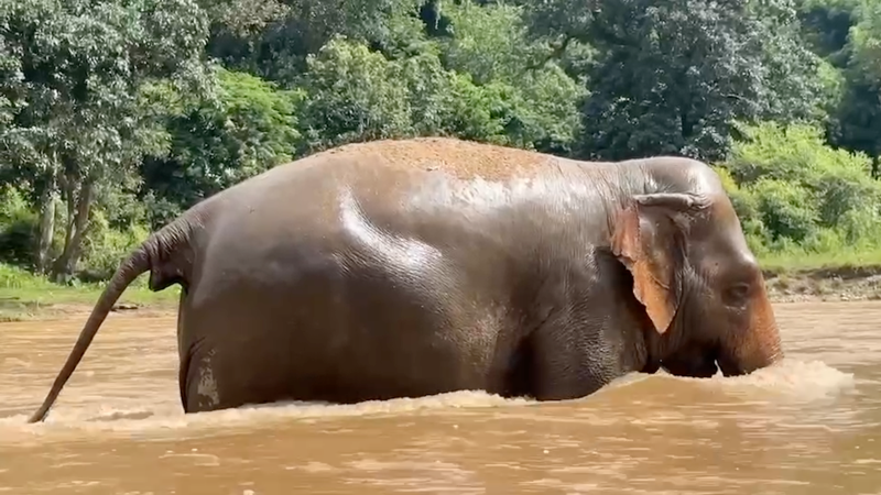 Malee's Joyful River Play