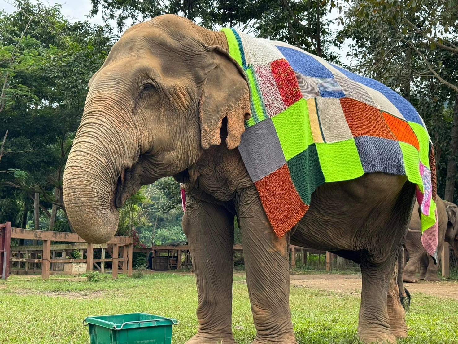 We are deeply grateful for the generous donation of elephant blankets from the ladies at Sister on Samui.