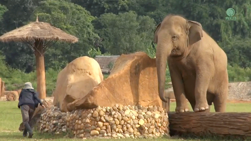 Hide & Seek Peakaboo: Lek, ThongAe and FaaMai's Playful Delight