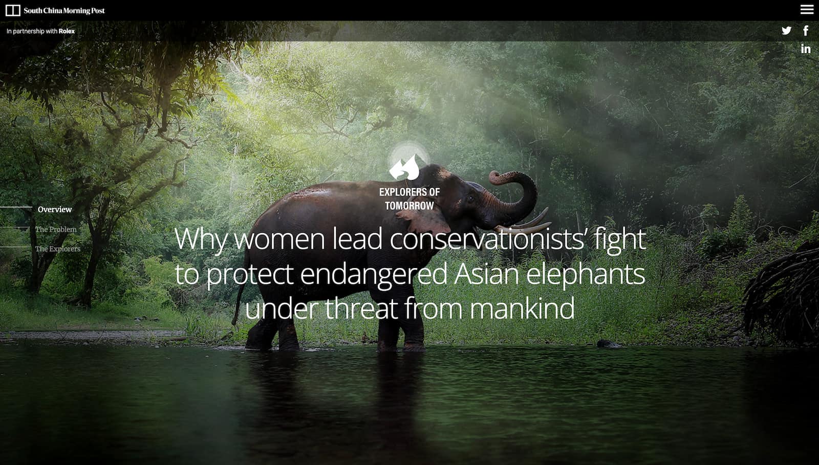 South China Morning Post – Why women lead conservationists’ fight to protect endangered Asian elephants under threat from mankind