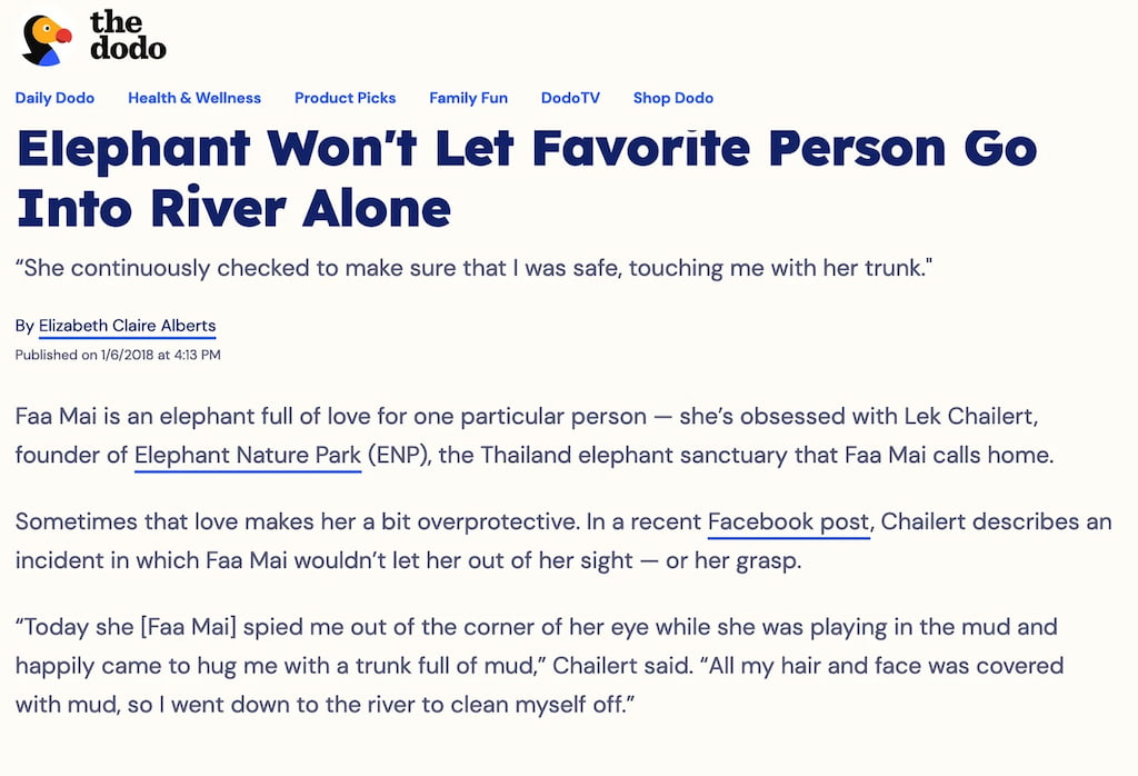 The DoDo – Elephant Won’t Let Favorite Person Go Into River Alone