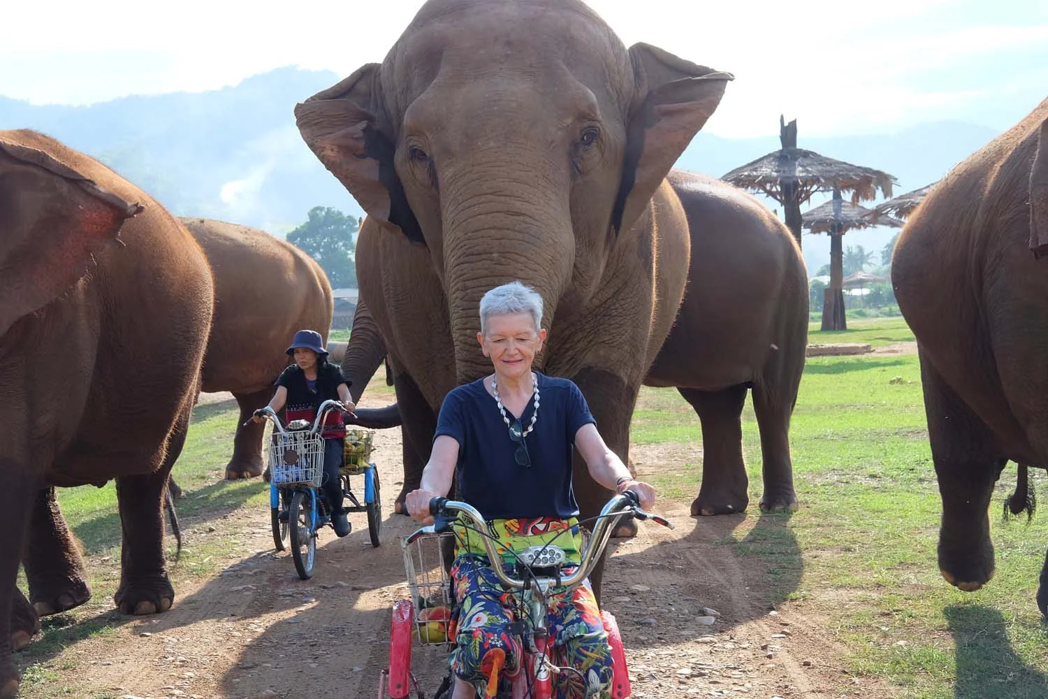 Amazing Thailand AU – 137 Pillars support Elephant Nature Park