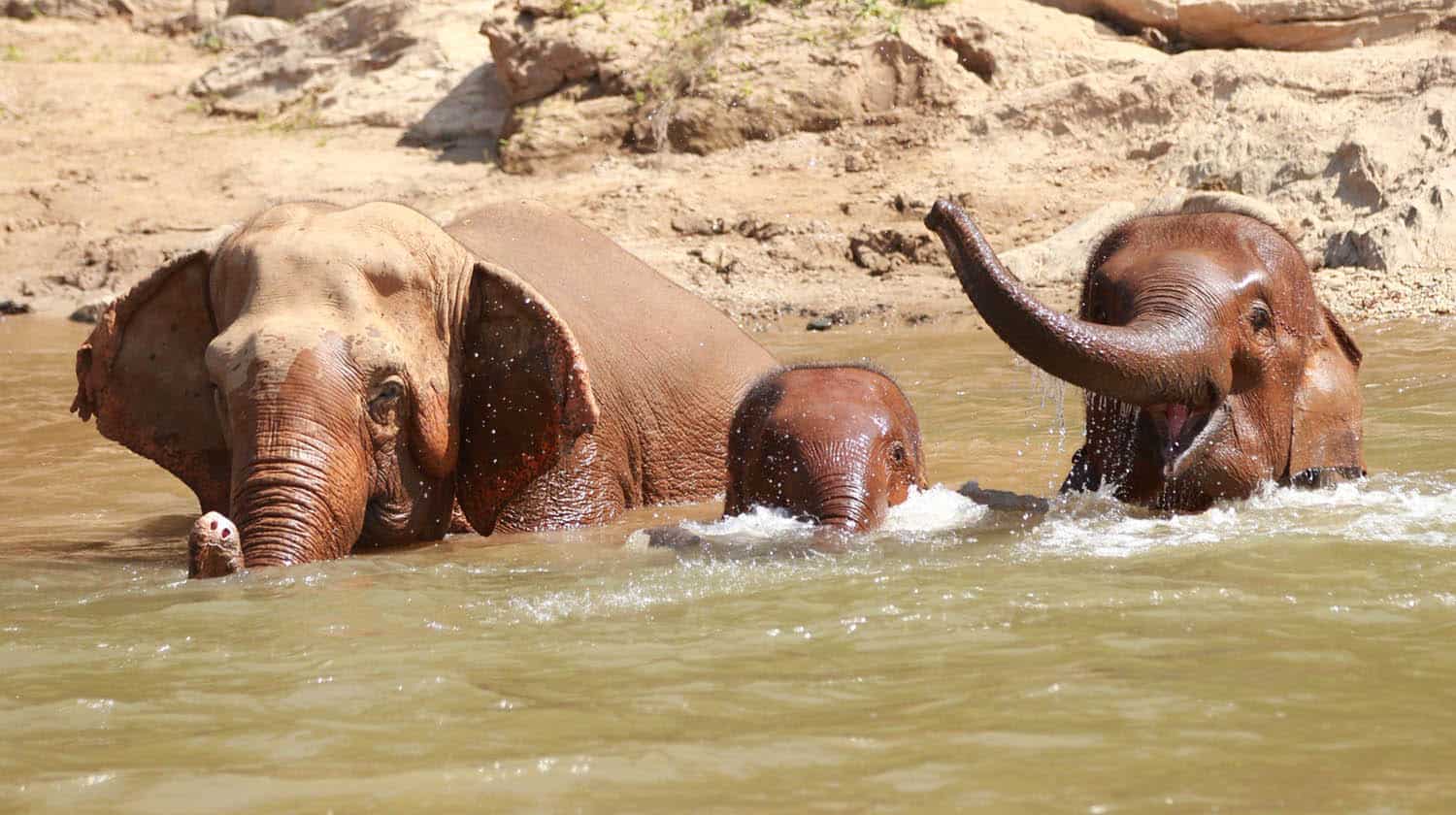 The Life-Giving Power of Water