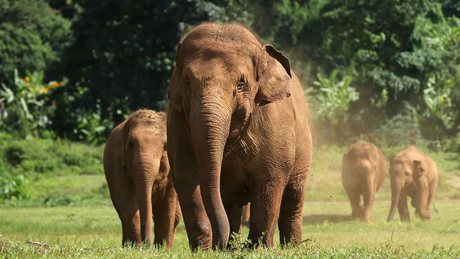 Faa Mai Turns Sixteen: A Joyful Heart at ENP
